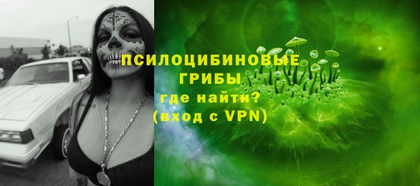 spice Алзамай