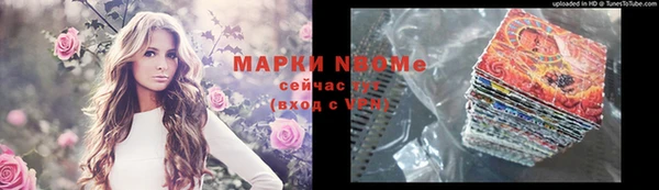 мет Алексин