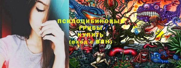 мет Алексин