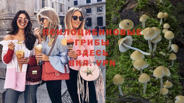 ешки Алексеевка