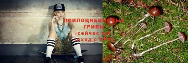 ешки Алексеевка