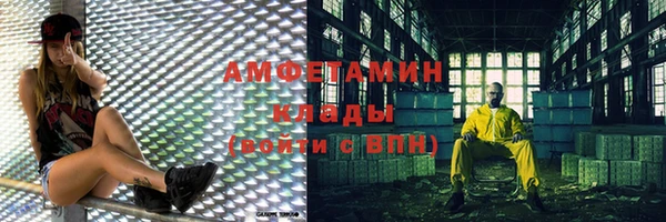 мет Алексин