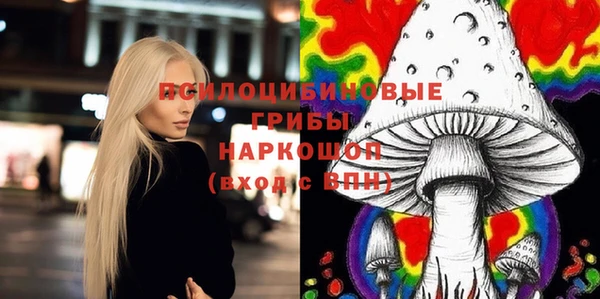 мет Алексин