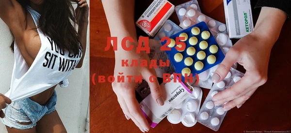 spice Алзамай