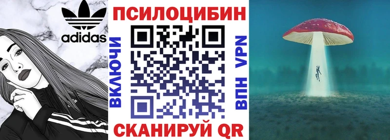 где можно купить   Камешково  Галлюциногенные грибы мухоморы 